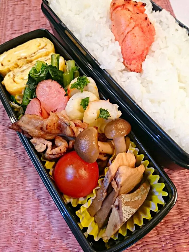 今日のお弁当 4/22|くみ。さん