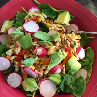 Spinach, Orzo, Roasted Pepper and Corn Salad