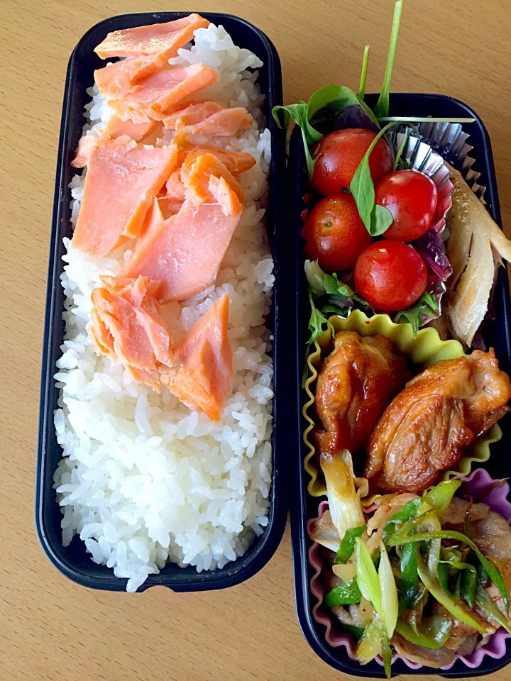 0422-gen's OBENTO LUNCH|Tamami Ishigakiさん