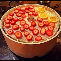 Drying strawberries and a random lemon|Kim Hansonさん