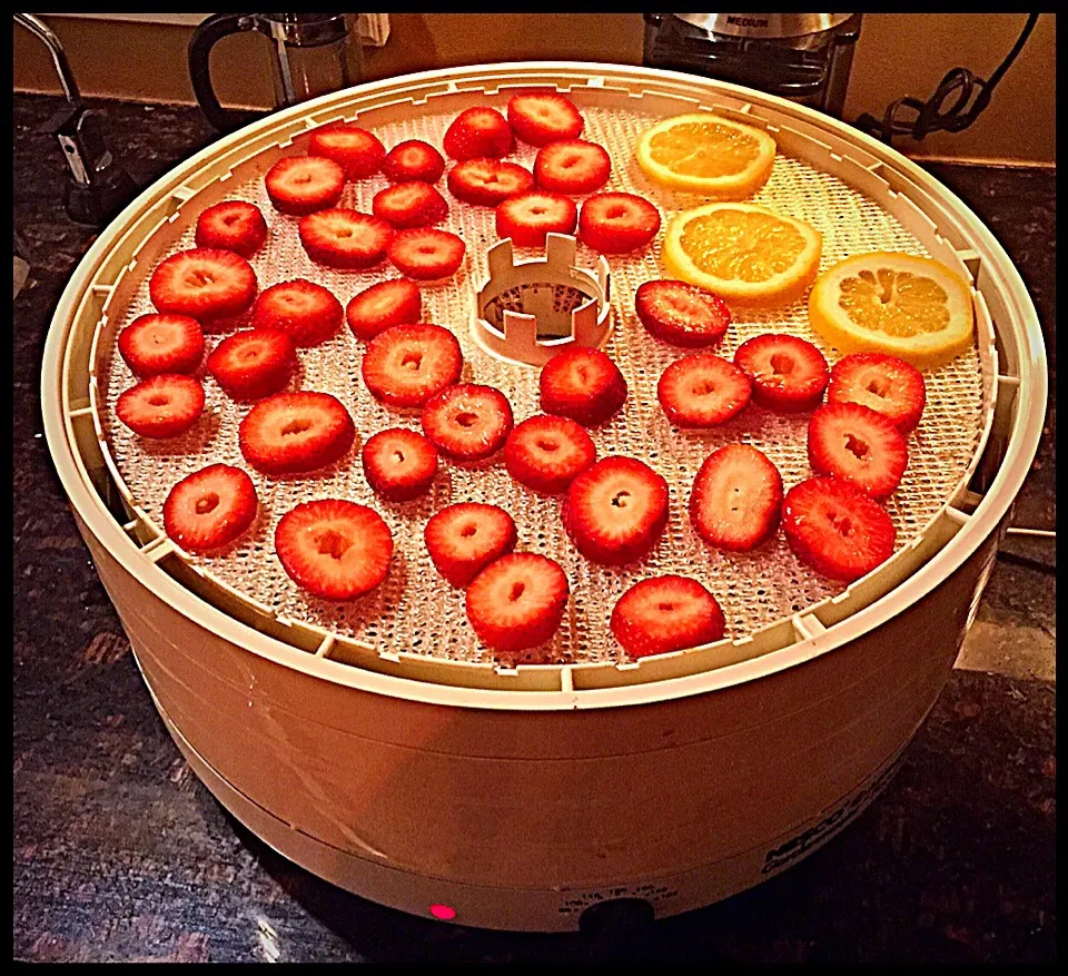 Drying strawberries and a random lemon|Kim Hansonさん