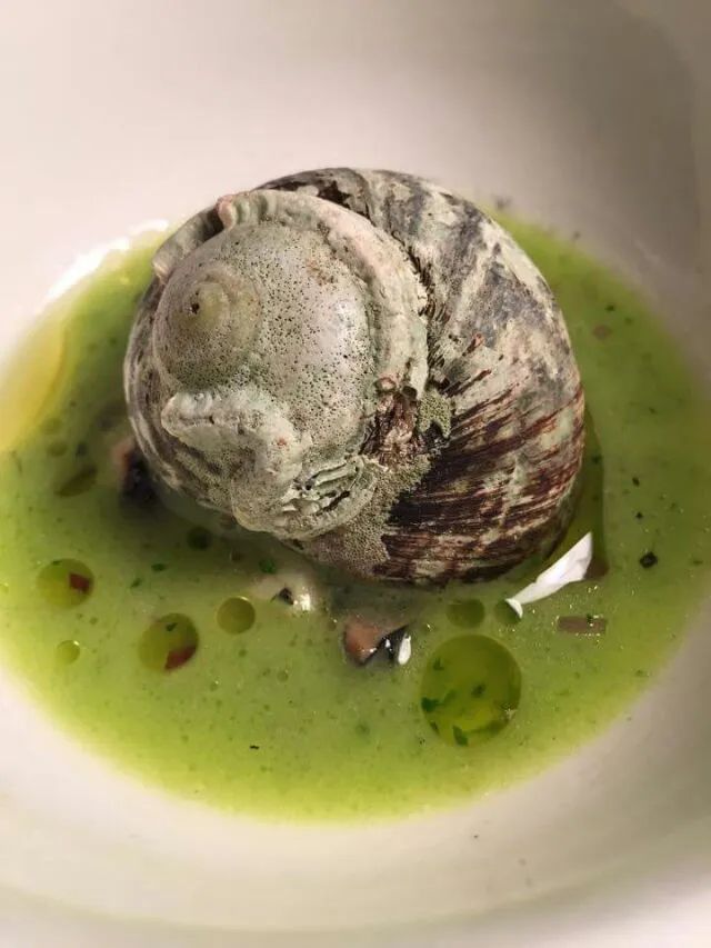 spring bay sea snail in green basque sauce|CHUENCHAIさん