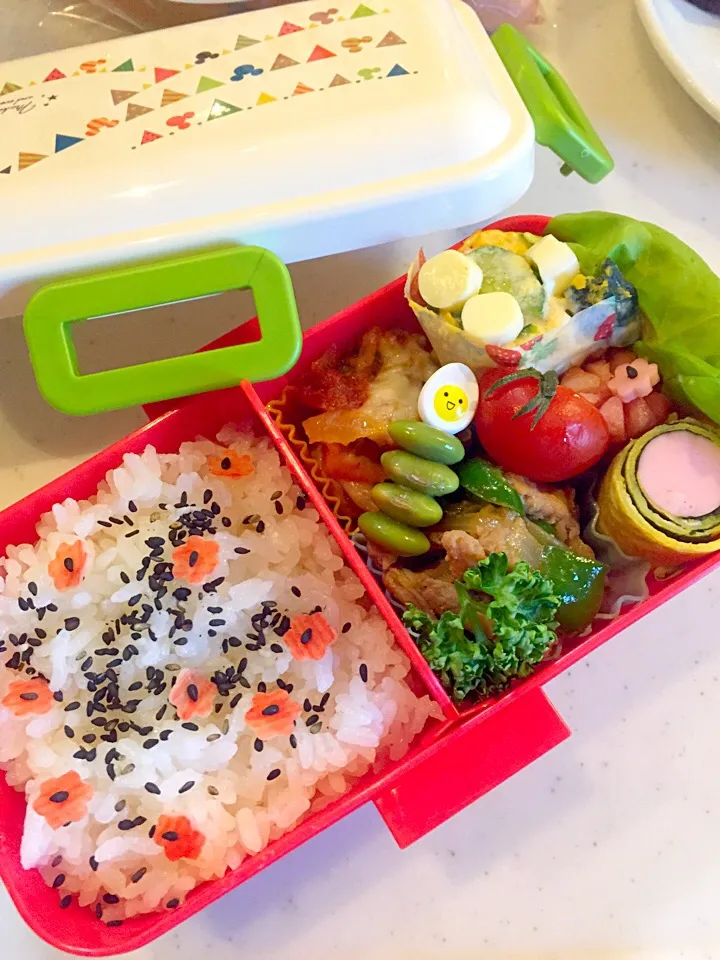 Snapdishの料理写真:4/23高1娘お弁当|Chiekoさん