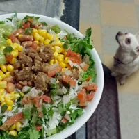 Homemade Vegan Chipotle Burrito Bowl!|Roxxi Liさん