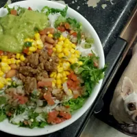 Chipotle at the comfort of your own home!|Roxxi Liさん