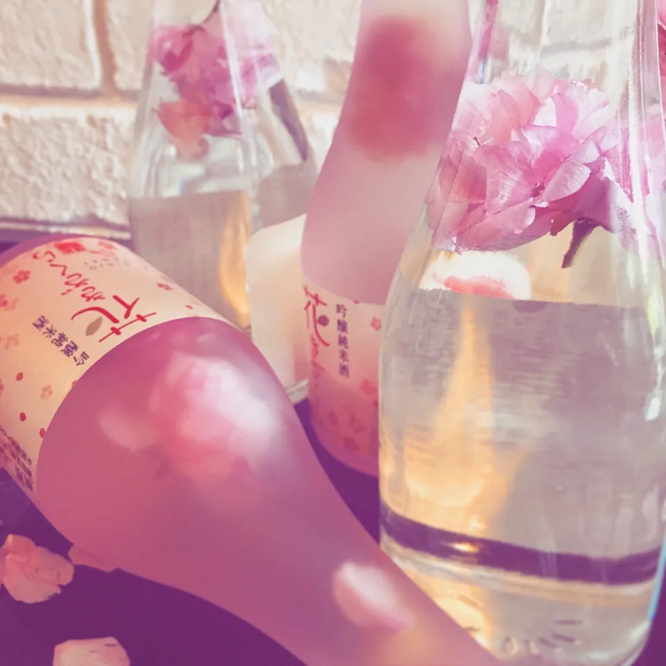 Soak Sakura sake|purplecloudさん