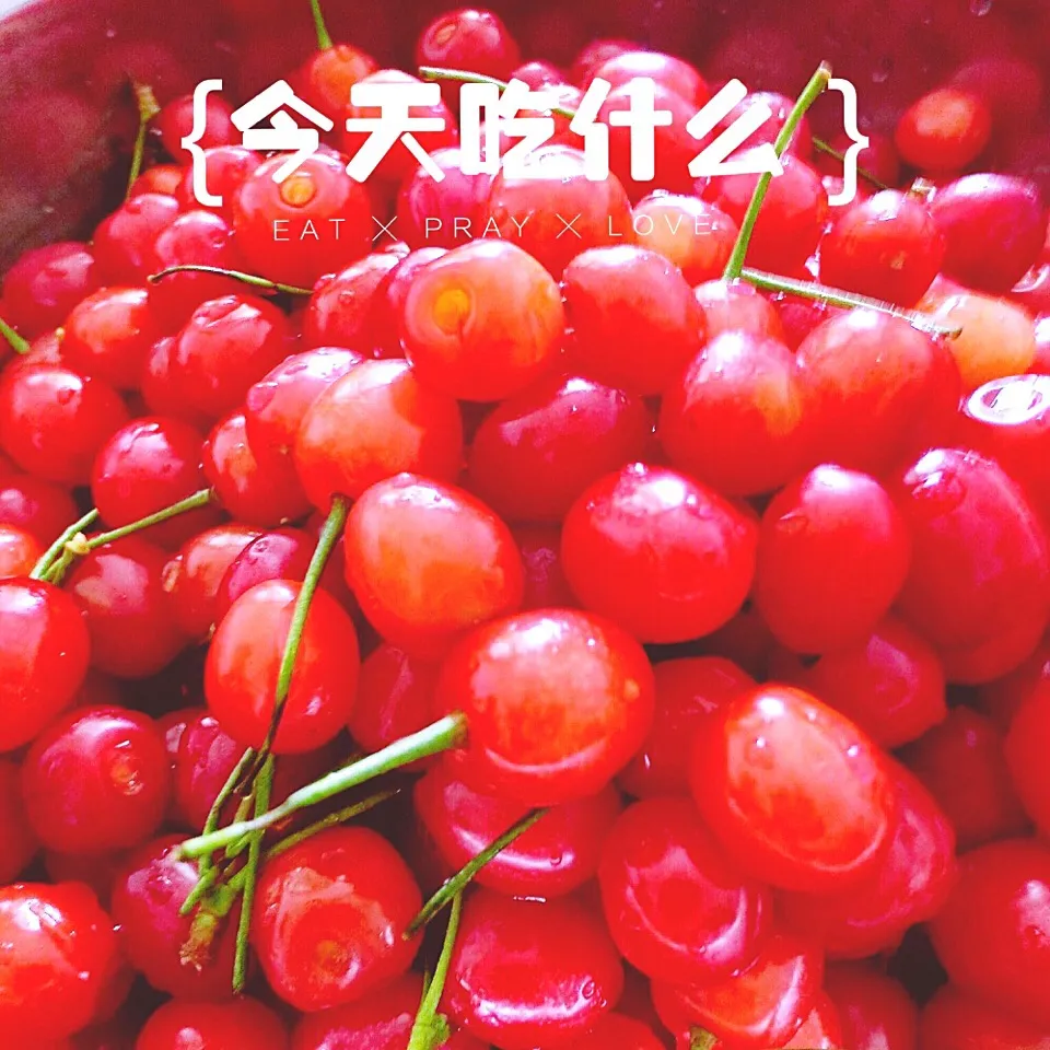 樱桃🍒🍒🍒|长颈鹿是森林さん