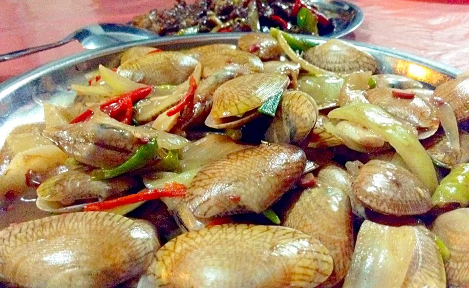 Kerang Touco|Bambang Budiono Tjioさん