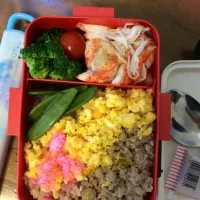 永遠弁当11日目^_^|さとさん