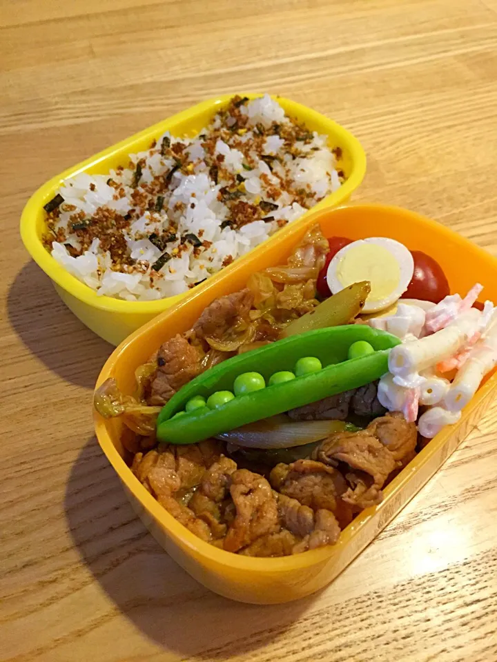 Snapdishの料理写真:回鍋肉弁当|myusicさん