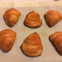 Sfogliatelle Napoletane.|Massimoさん