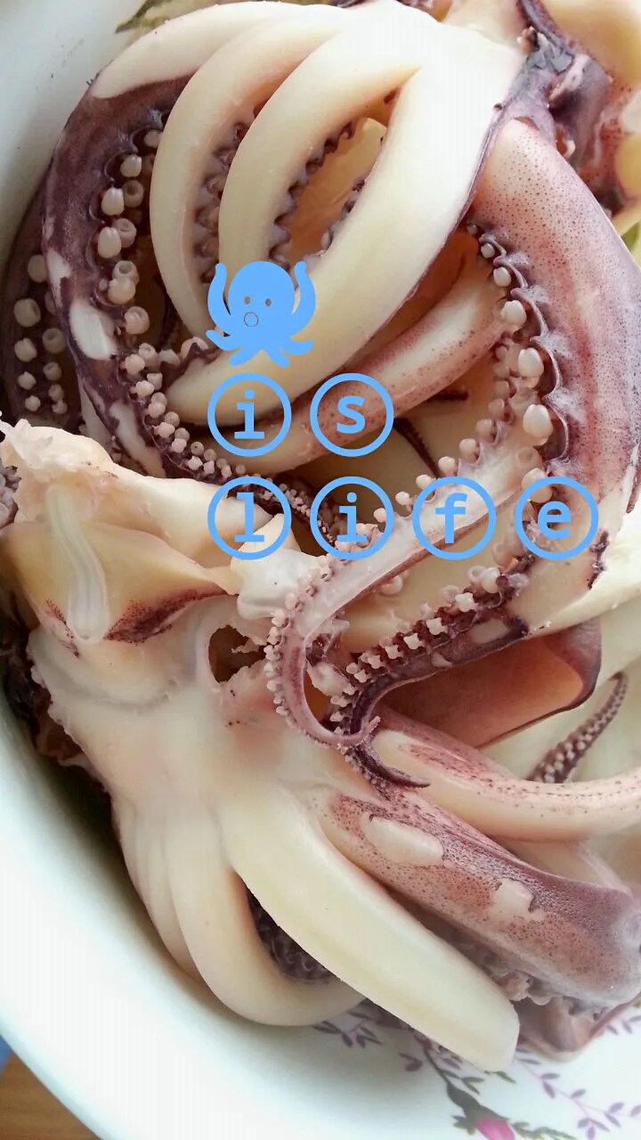 🐙🐙|ⓜⓘⓝⓓⓨさん