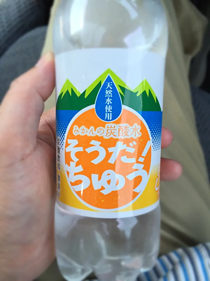 Snapdishの料理写真:みかんの炭酸水 「そうだ！ちゅう」|古山さん