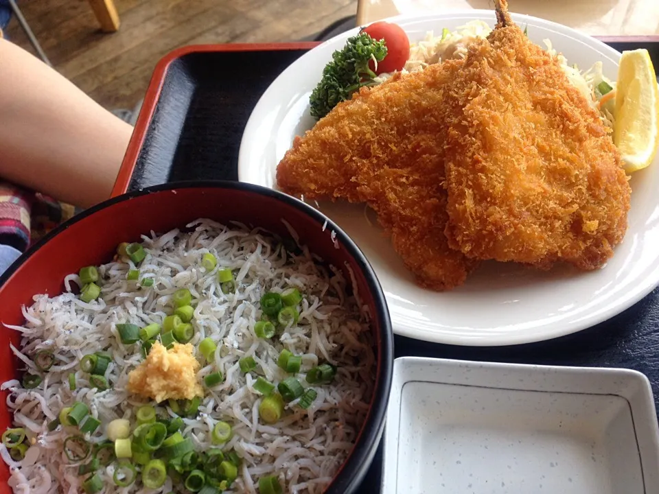 Snapdishの料理写真:葉山港湾食堂 釜あげしらす丼と鯵フライ|よだみなさん