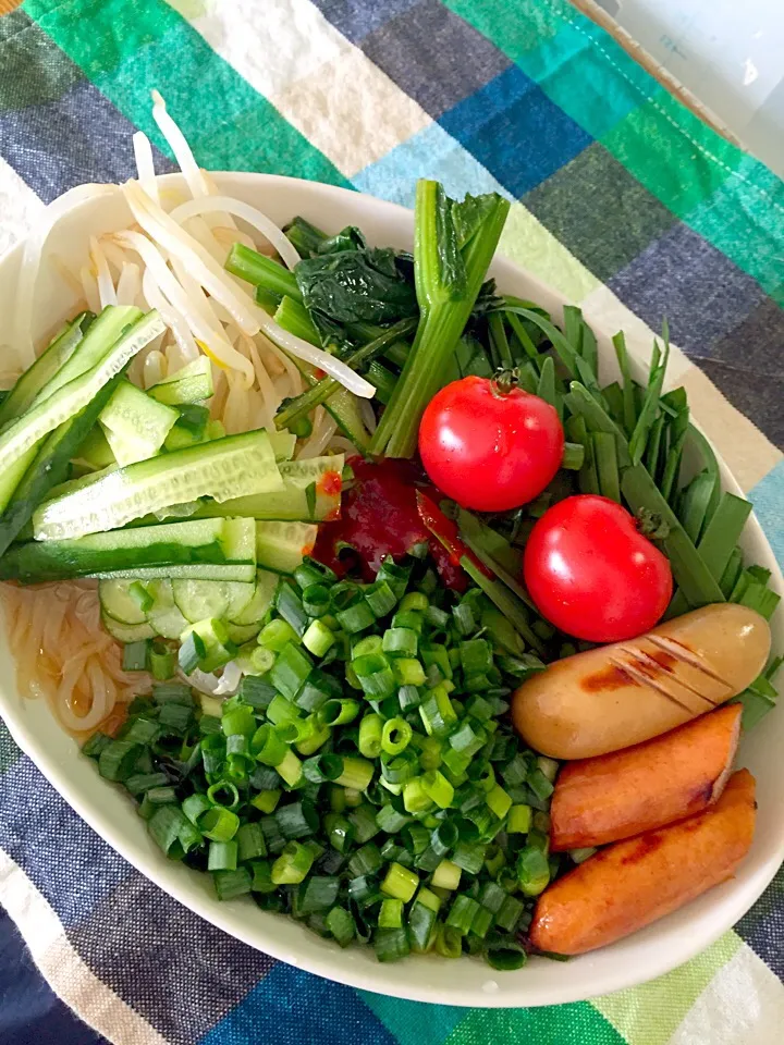 盛岡冷麺 緑色いっぱい|スカポンタスさん