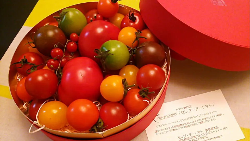 いただき物のトマトの詰め合わせ🍅綺麗ですわ✨✨✨|にゃあ（芸名）さん