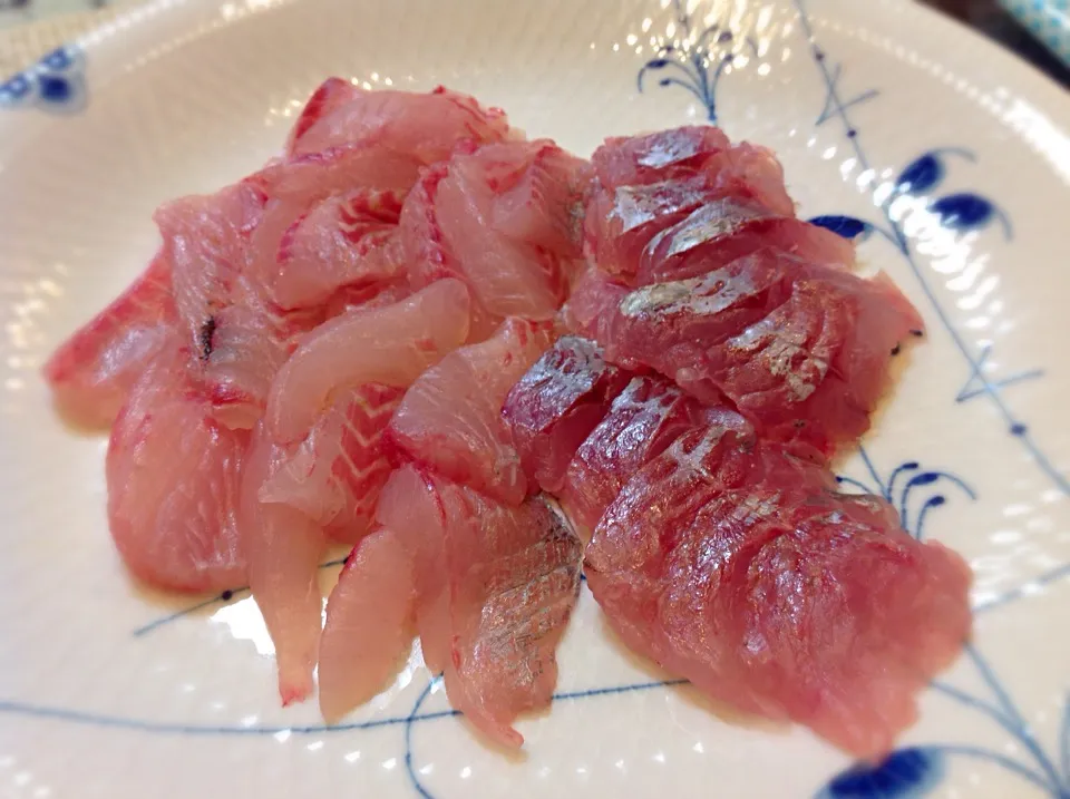 イサキ🐟とムツのお刺身😋メッチャ美味しい(^^)|アライさんさん