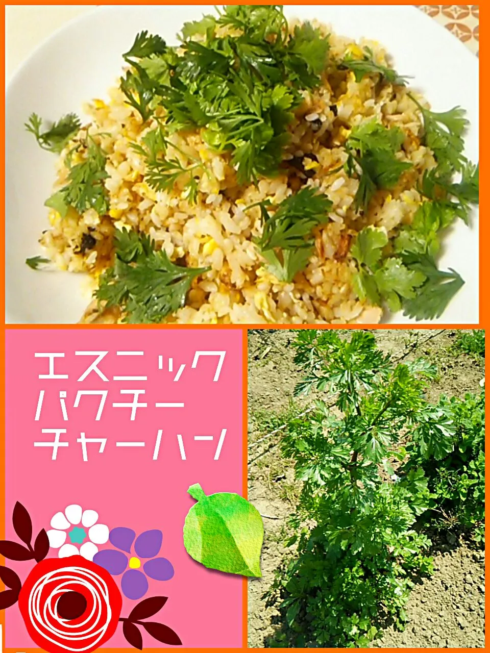 エスニックパクチー炒飯|めぐチー🌿さん