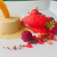 Snapdishの料理写真:PannaCotta, vanilla custard sauce, strawberry sorbet, brownie powder #gourmet #pastry #crème|eloy HEさん