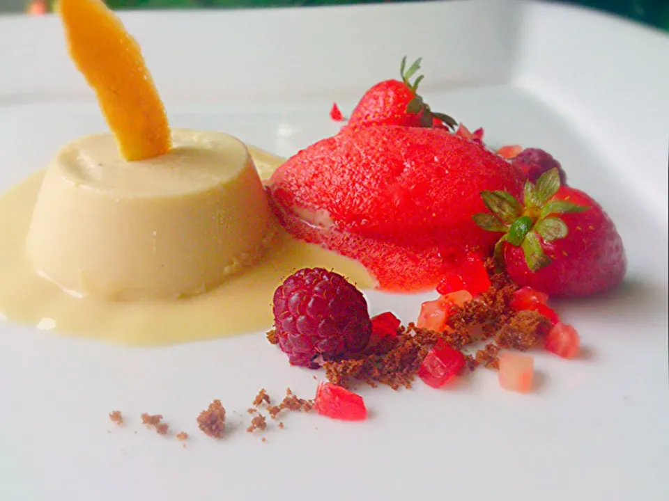 PannaCotta, vanilla custard sauce, strawberry sorbet, brownie powder #gourmet #pastry #crème|eloy HEさん