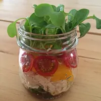 サラダジャー Salad jar|jessicawenさん