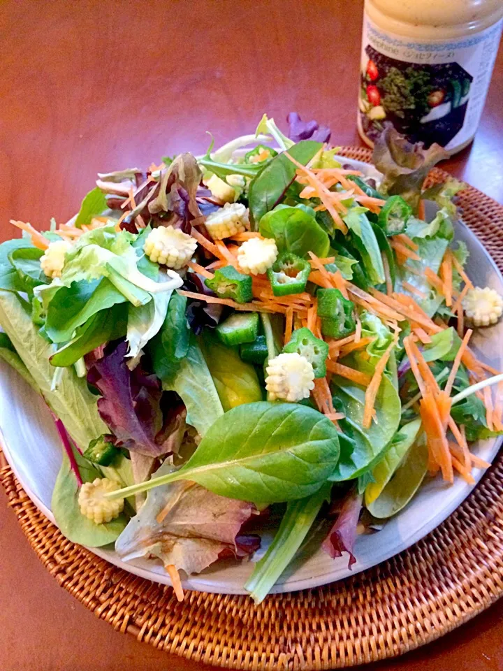 Snapdishの料理写真:Today's Salad🌿ﾍﾞﾋﾞｰﾘｰﾌの芽が出て来た〜ヽ(´∀`)ﾉ|🌈Ami🍻さん