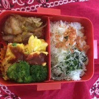 永遠弁当12日目|さとさん