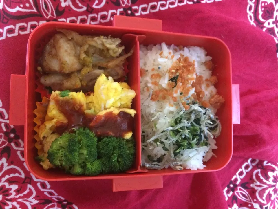 Snapdishの料理写真:永遠弁当12日目|さとさん