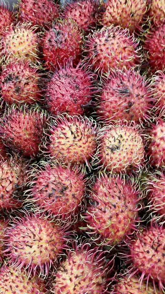 rambutan from Vietnam|CHUENCHAIさん