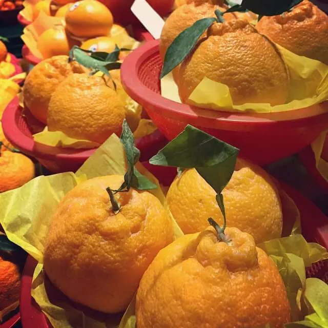 Hallabong,Dekopon ,sumo oranges|CHUENCHAIさん