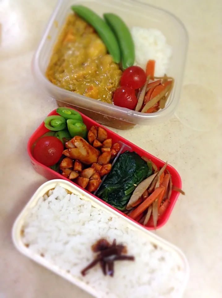 Today's lunch box. curry under the rice.|hoppycowさん