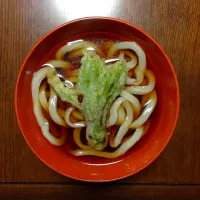 Snapdishの料理写真:山菜のてんぷらうどん|shino shimazakiさん