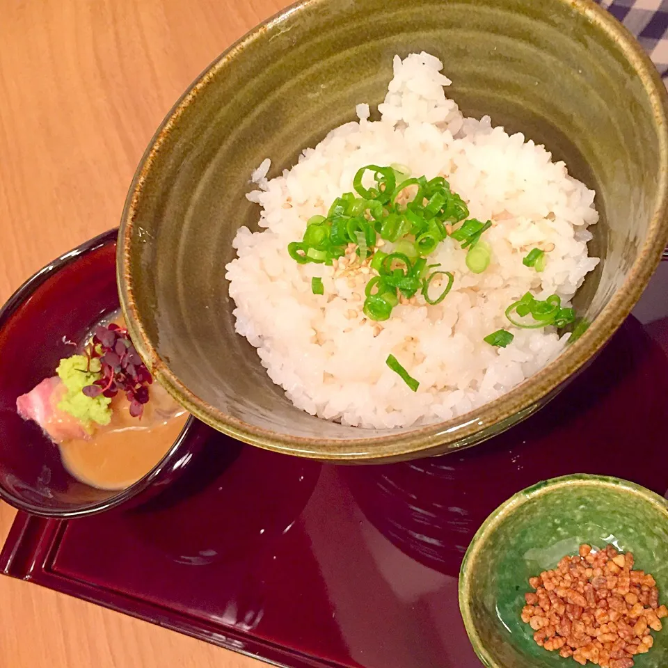 〆の鯛茶漬け！|shuさん