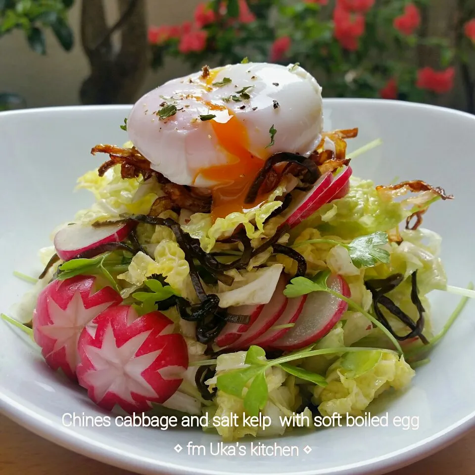 Snapdishの料理写真:簡単✨【*☆温玉のせ✨白菜&塩こぶサラダ☆*】🍴🐣🐣|Ukaさん