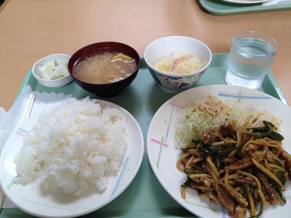 Snapdishの料理写真:青椒肉絲&ご飯大盛り|おっちさん