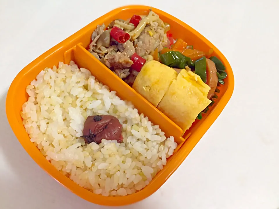 4/28のお弁当|しおり。さん