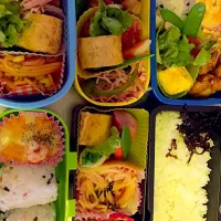 Snapdishの料理写真:2015遠足の予備日弁当|swme7737さん