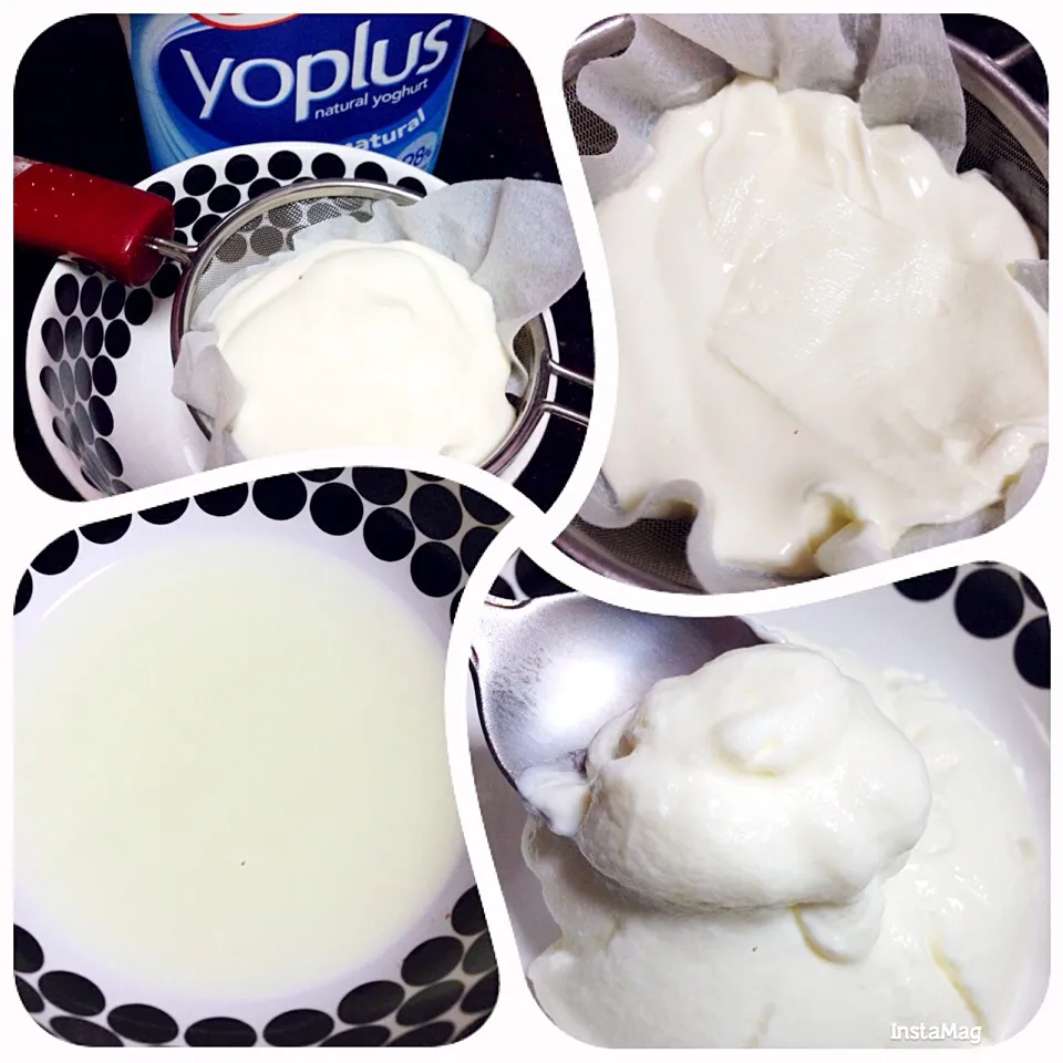 Home made Greek Yogurt(from commercial yogurt)|coxiella24さん