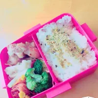 永遠弁当13日目|さとさん