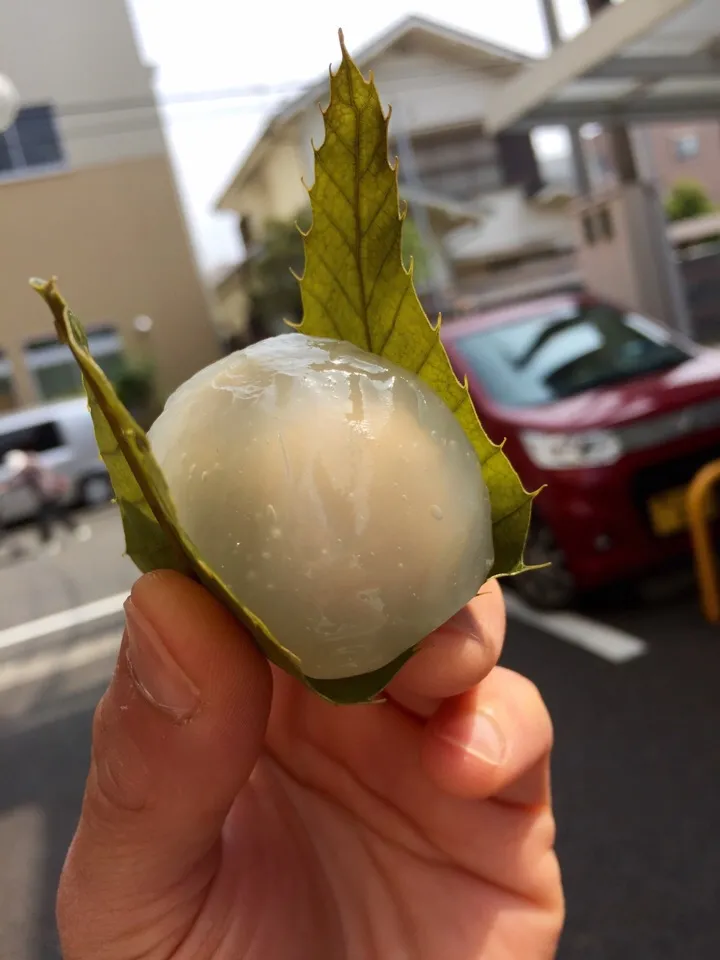 ✨水菓子でほっと一息✨|中さんさん