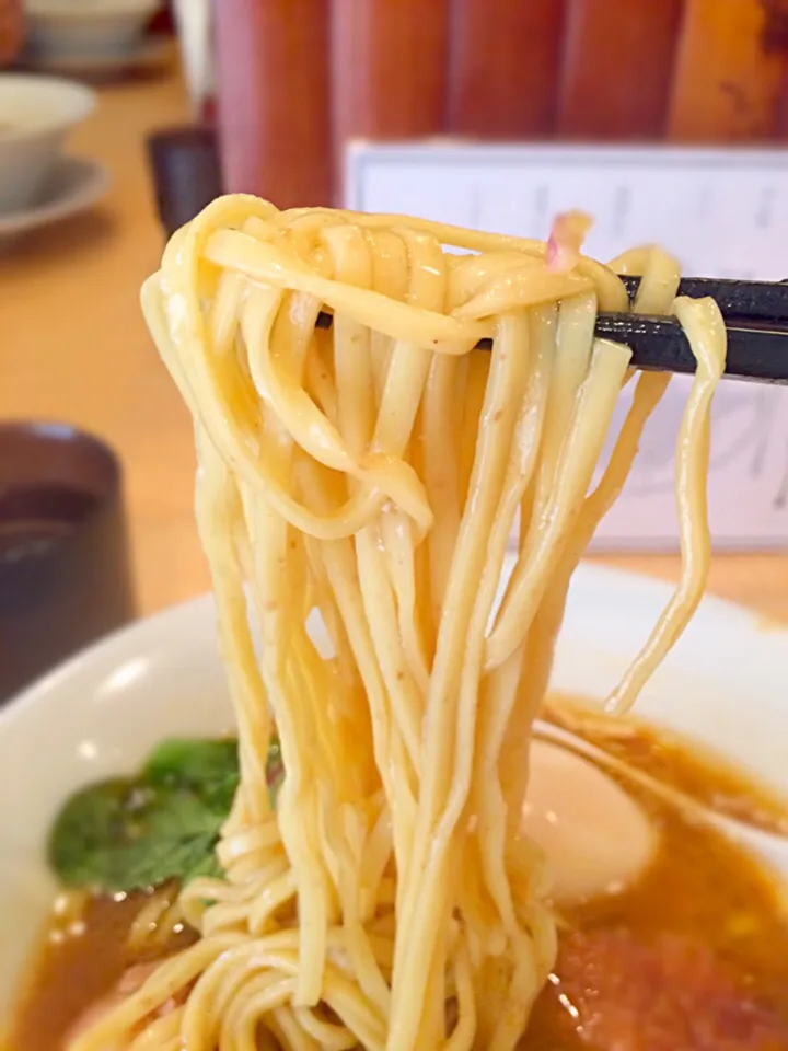 味噌そばの麺@蔦 味噌の陣|morimi32さん