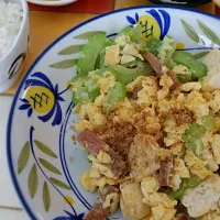 Goya chanpuru (Okinawan food)