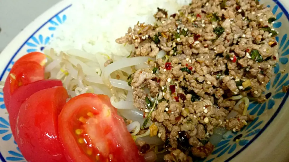 Snapdishの料理写真:ラーブ(タイ風ひき肉サラダ)の素を使って！|あまねさん