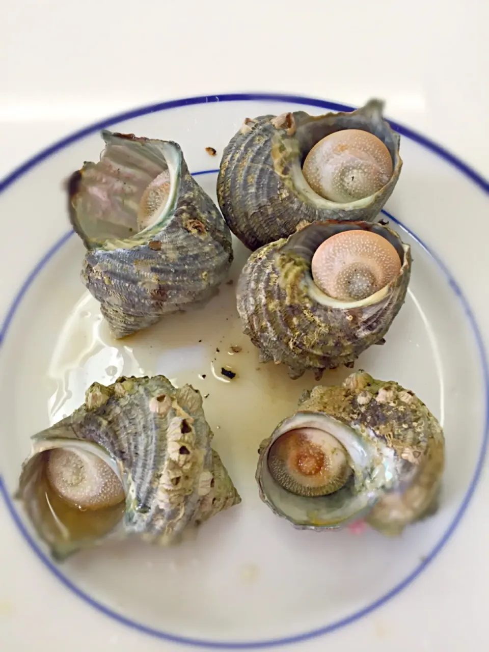 さざえ焼き|ともみちさん