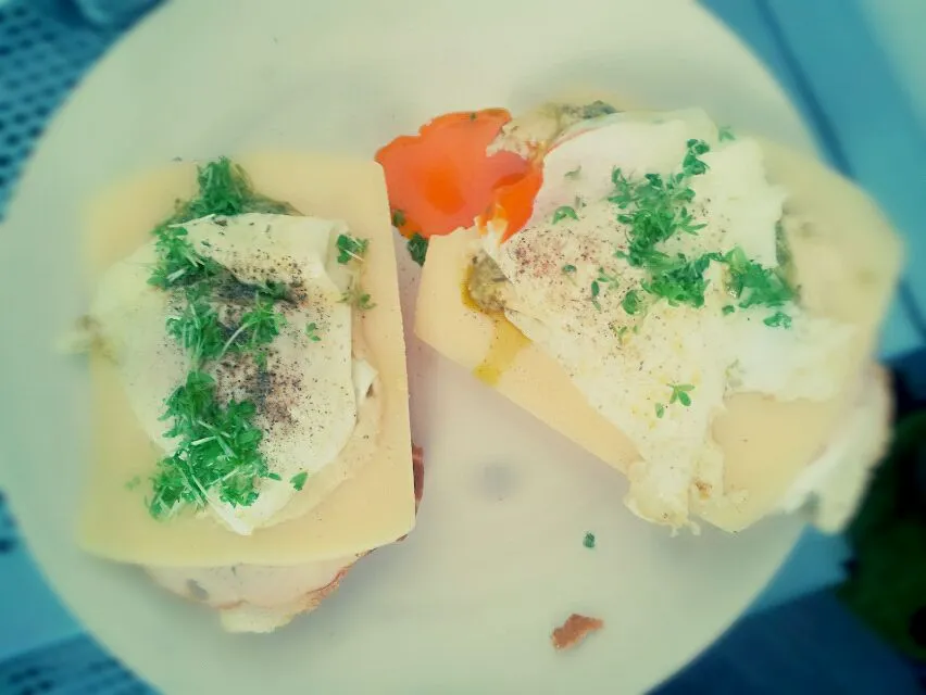 sandwiches with cheese, ham, egg, green pesto and cuckooflower|chillixxさん