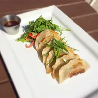 Chicken & Poblano Potstickers|Tony Schaperさん