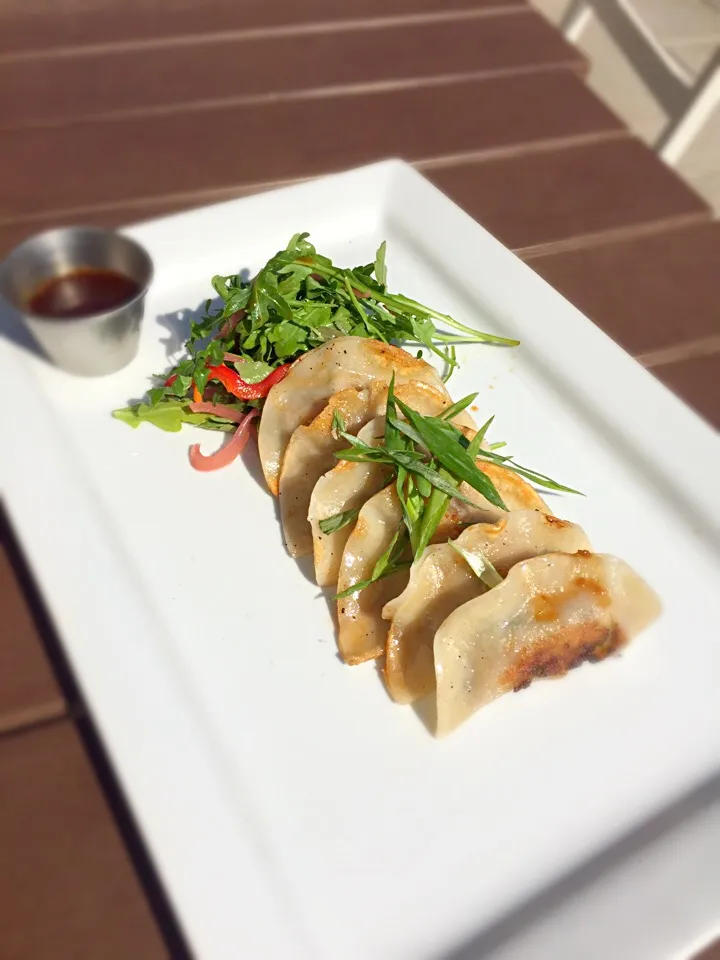 Snapdishの料理写真:Chicken & Poblano Potstickers|Tony Schaperさん