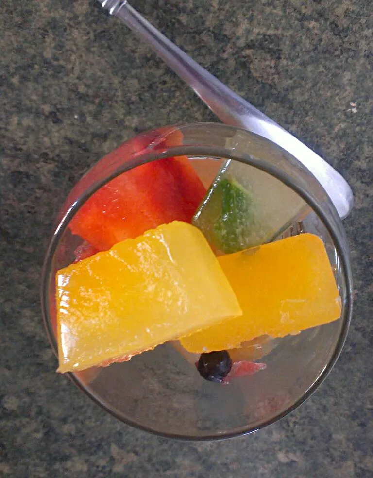 frozen fruit ice cubes|paulaさん