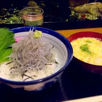 Snapdishの料理写真:生しらす丼|かよよんさん