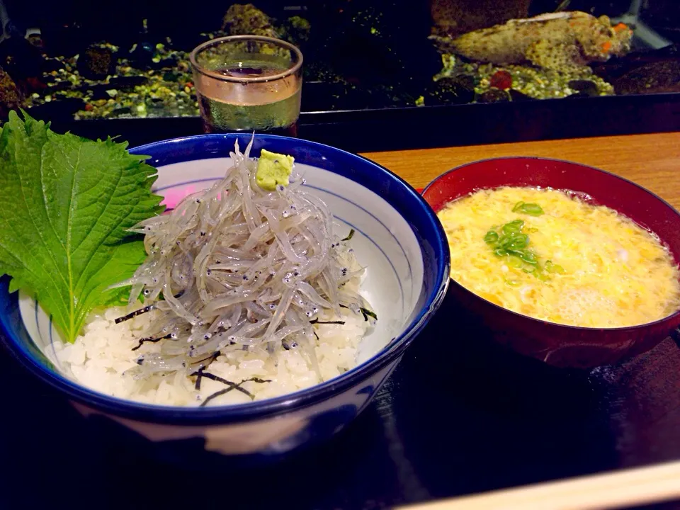 Snapdishの料理写真:生しらす丼|かよよんさん